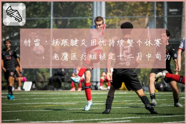 特雷·杨跟腱炎困扰持续整个休赛期,老鹰医疗组锁定十二月中旬为最早回归线