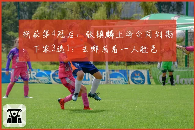 斩获第4冠后，张镇麟上海合同到期，下家3选1，去哪或看一人脸色