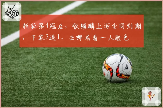 斩获第4冠后，张镇麟上海合同到期，下家3选1，去哪或看一人脸色